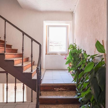 Cozy Studio Cvita Zadar Eksteriør billede